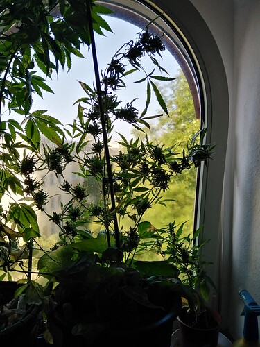 Growreport Bild 2