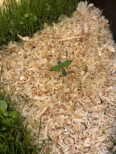 Growreport Bild 3