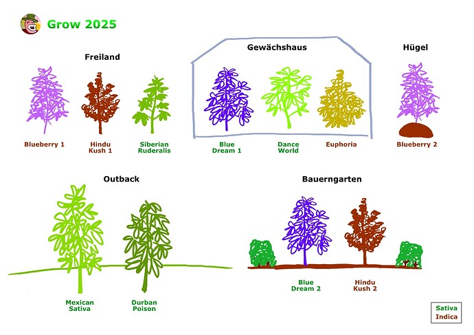 Growreport Bild 49