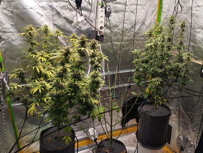 Growreport Bild 6