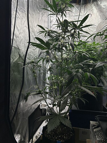 Growreport Bild 2