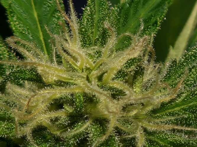 WhatsApp Image 2024-05-24 at 16.08.19