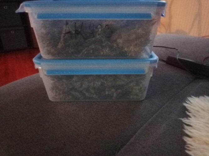 Growreport Bild 42
