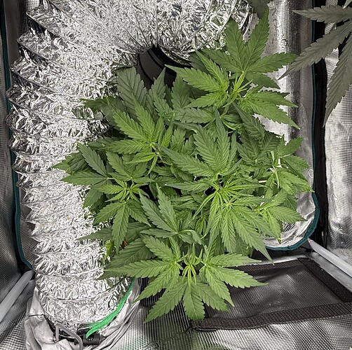 Growreport Bild 25
