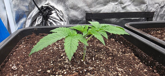 Growreport Bild 21