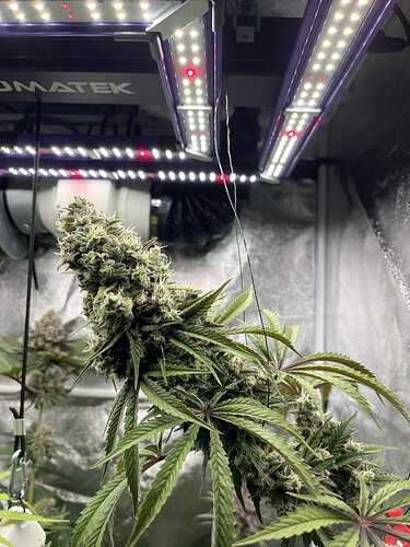 Growreport Bild 12
