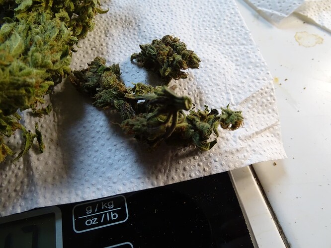 Growreport Bild 9
