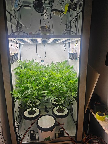 Growreport Bild 71