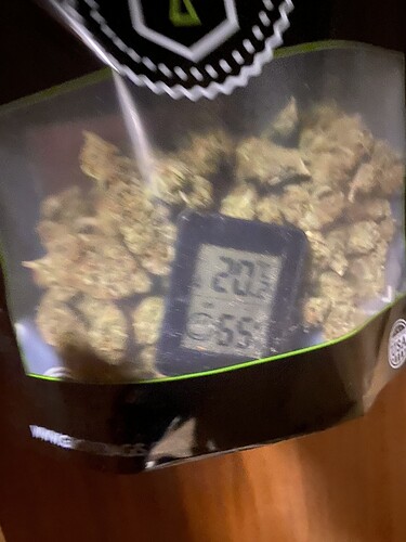 Growreport Bild 52