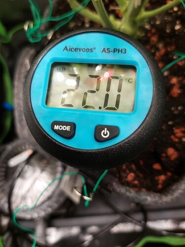 Growreport Bild 13