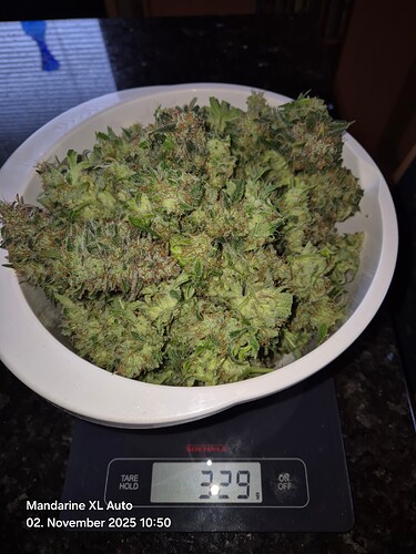Growreport Bild 3