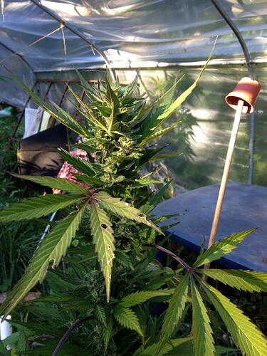 Grow24_0921_02