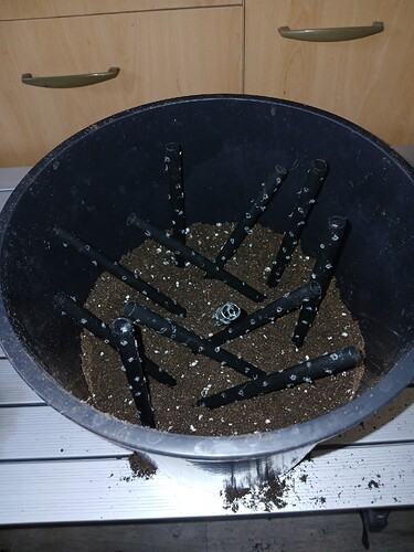 Growreport Bild 2