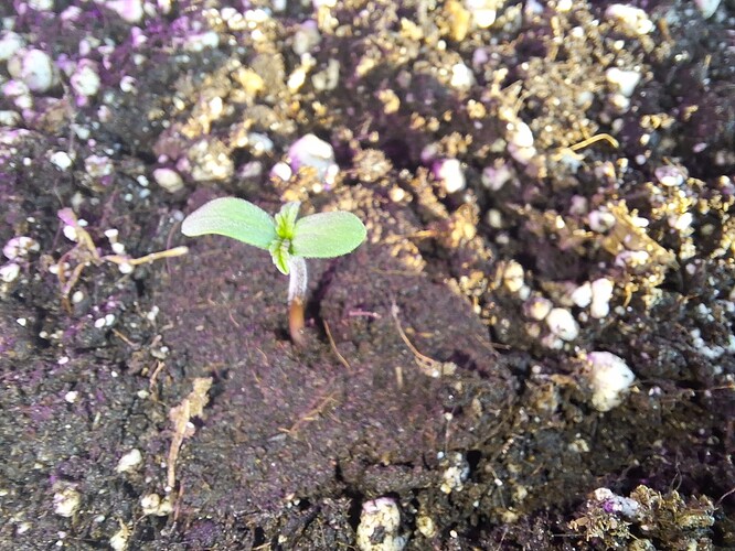 Growreport Bild 24