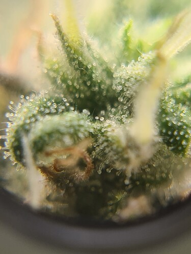 Growreport Bild 45