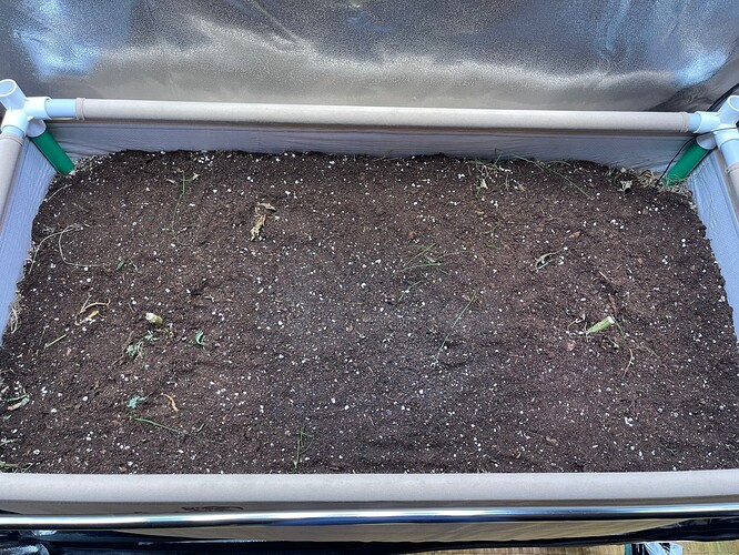 Growreport Bild 11