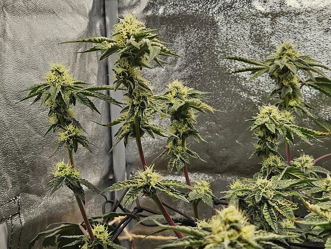 Growreport Bild 10