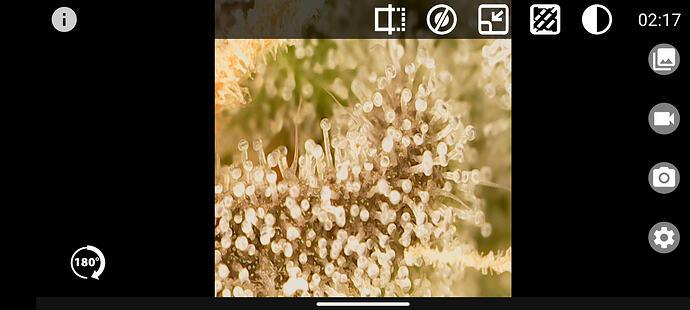 Growreport Bild 31