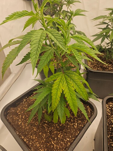 Growreport Bild 9