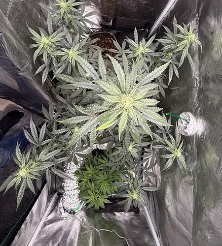 Growreport Bild 23