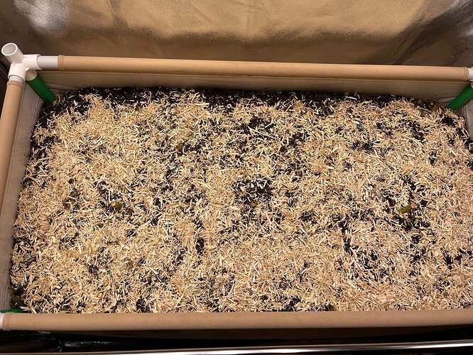 Growreport Bild 12