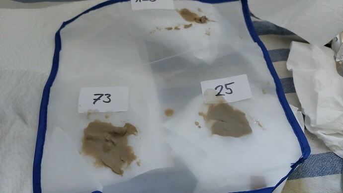 IMG-20250404-WA0007
