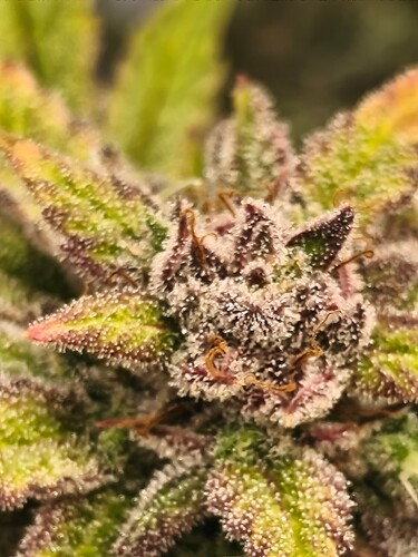 Growreport Bild 10
