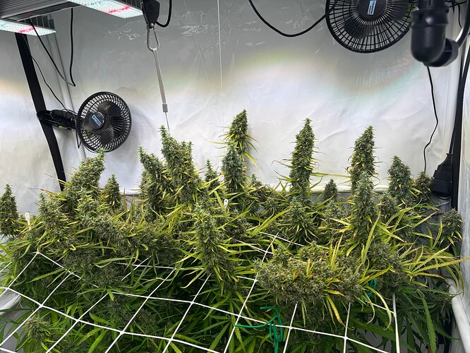 Growreport Bild 1