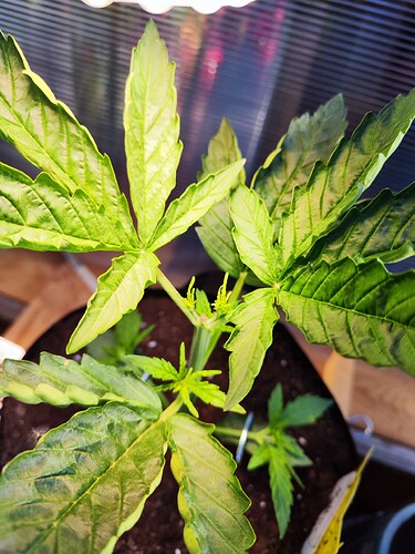 Growreport Bild 15