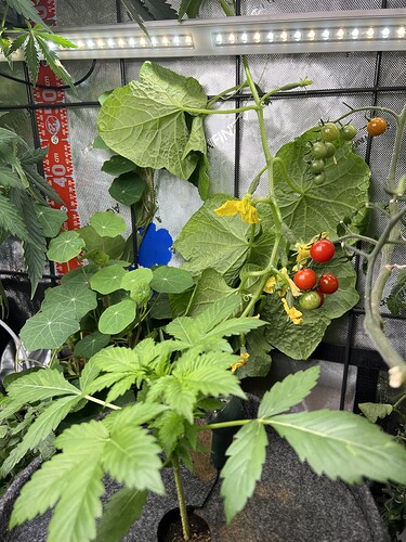 Growreport Bild 23