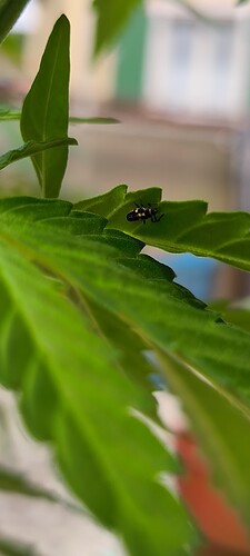 Growreport Bild 2