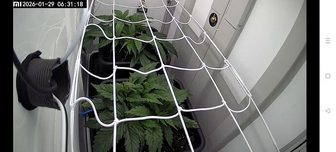 Screenshot_2026-01-29-06-28-47-61_89ed83f5c7ca8fa2c91fc75c50289338