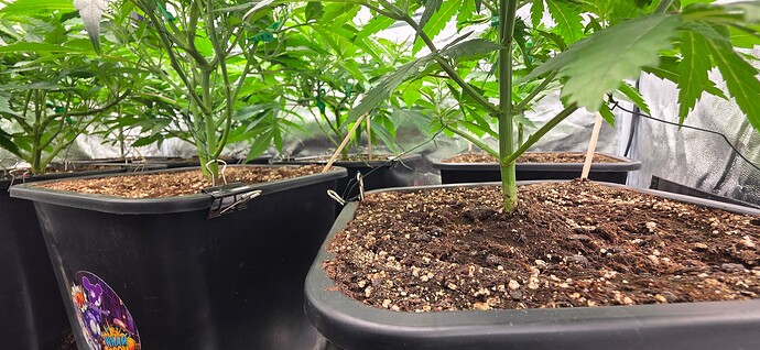 Growreport Bild 16
