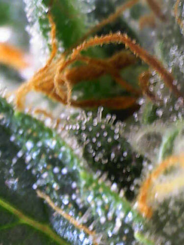 Photo_2026-02-27 15_14_44_002