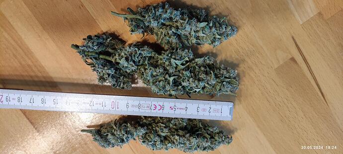 signal-2024-05-30-18-27-33-683