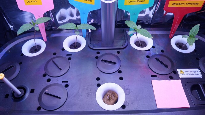 Growreport Bild 6