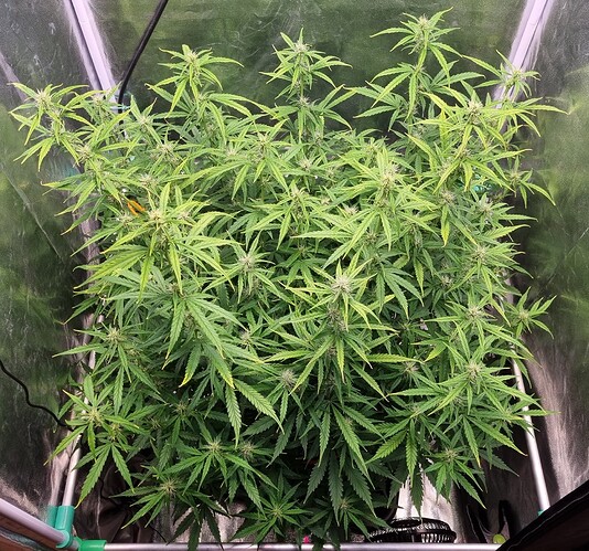 Growreport Bild 14