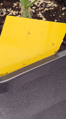 20240616_185203