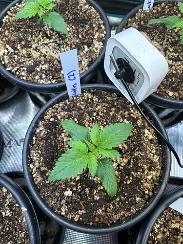 Growreport Bild 18