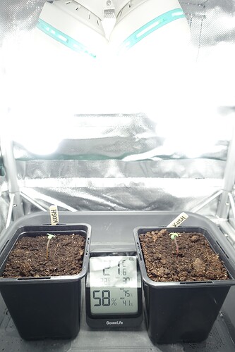Growreport Bild 8