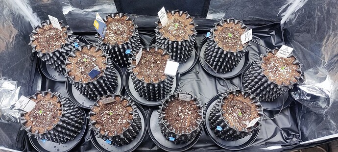 1728372831661 - Kopie