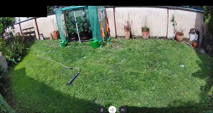 Growreport Bild 1