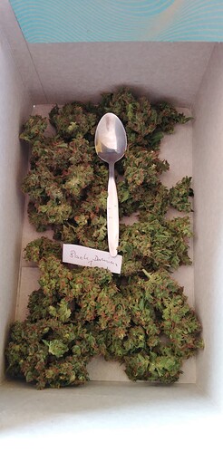 Growreport Bild 12