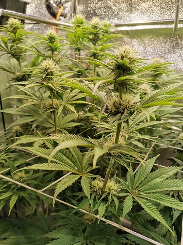 Growreport Bild 11