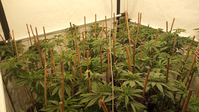 Growreport Bild 7