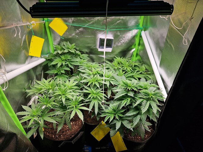 Growreport Bild 4