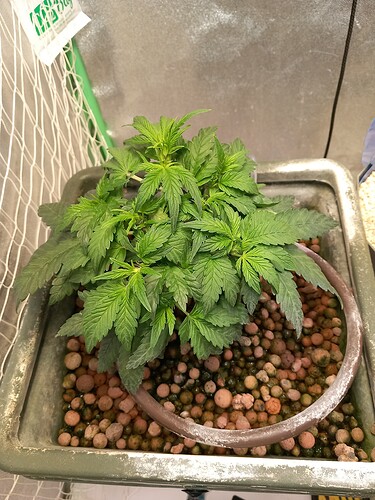 Growreport Bild 18
