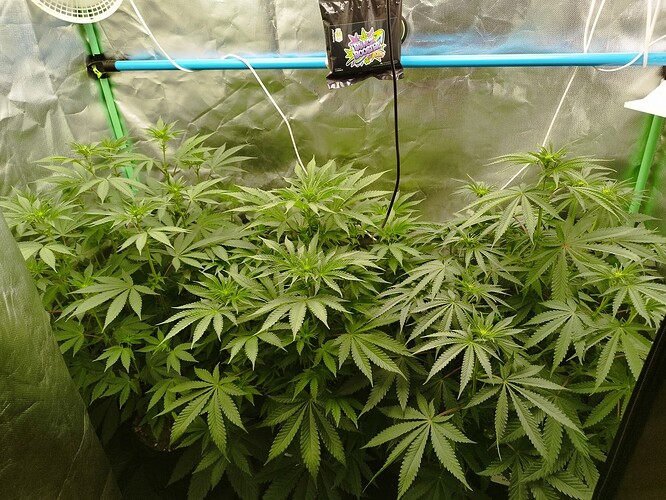 Growreport Bild 10