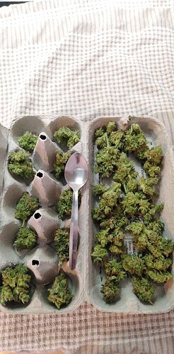 Growreport Bild 1