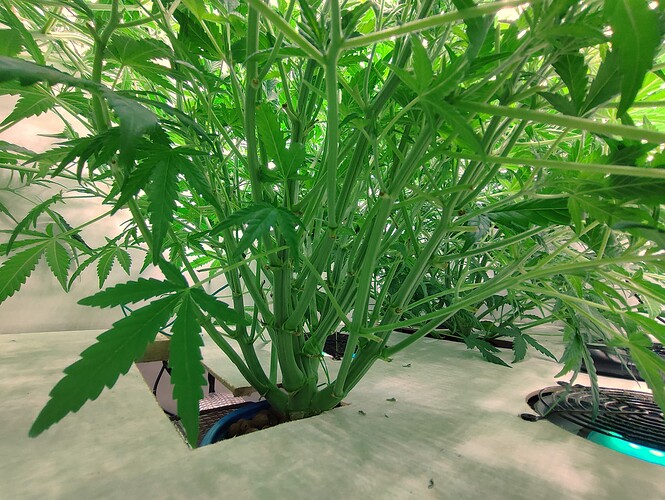 Growreport Bild 11